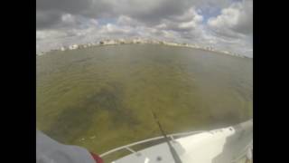 5 16 Shallow Water Blues