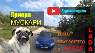 Приора мускари.Приора 2 SE