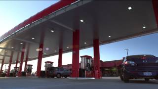HD SHEETZ BIRD 30