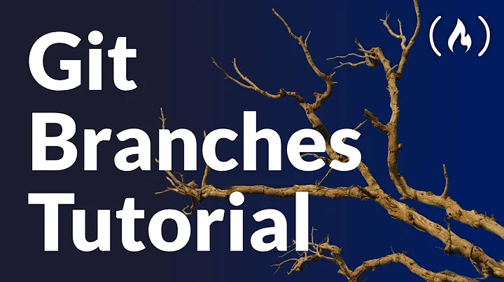 Git Branches Tutorial