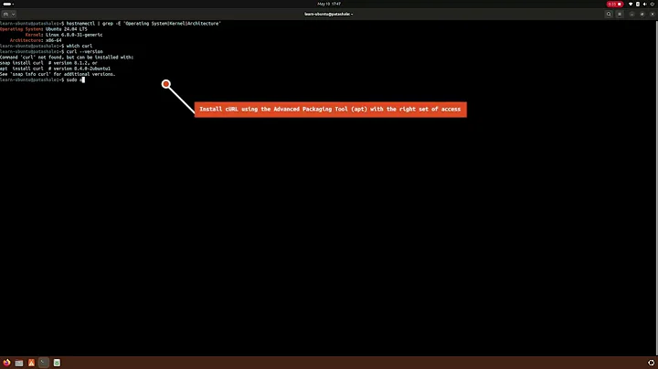 Installing cURL on Ubuntu 24.04 LTS