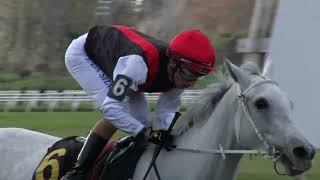 230611 c06 R. Dominguez/ WACTHKENTUCKY (BRZ)