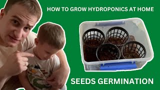 How To Grow Hydroponics At Home Diy Seeds Germination