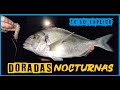 Gran jornada de pesca a la dorada por la noche