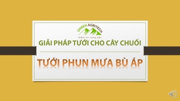 Hệ thống tưới phun mưa bù áp cho cây chuối | Nông nghiệp xanh