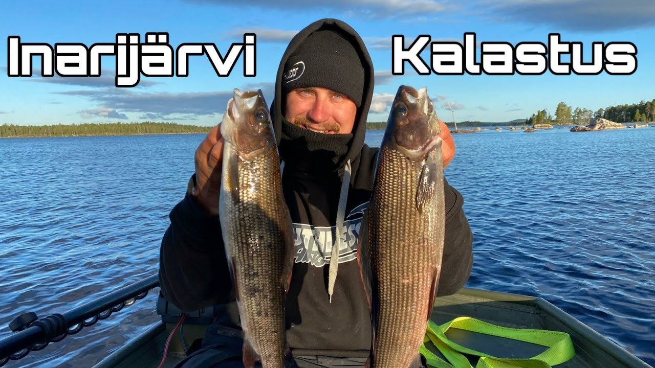 KARU & KAUNIS  INARIJÄRVI | HARJUKSEN & TAIMENEN KALASTUSTA INARIJÄRVELLÄ |
