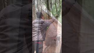 solo camping #asmr #camping #solocamping