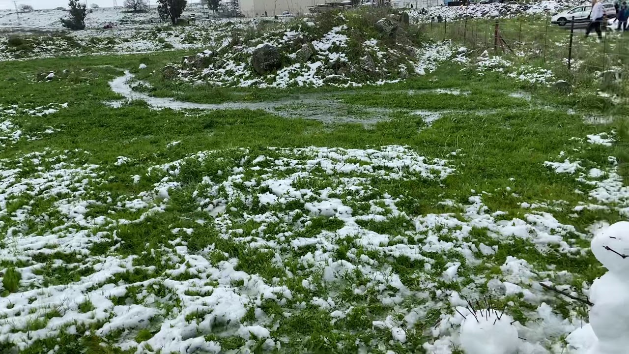 Снегопад. Снег в Израиле. Голанские Высоты. Голан в снегу