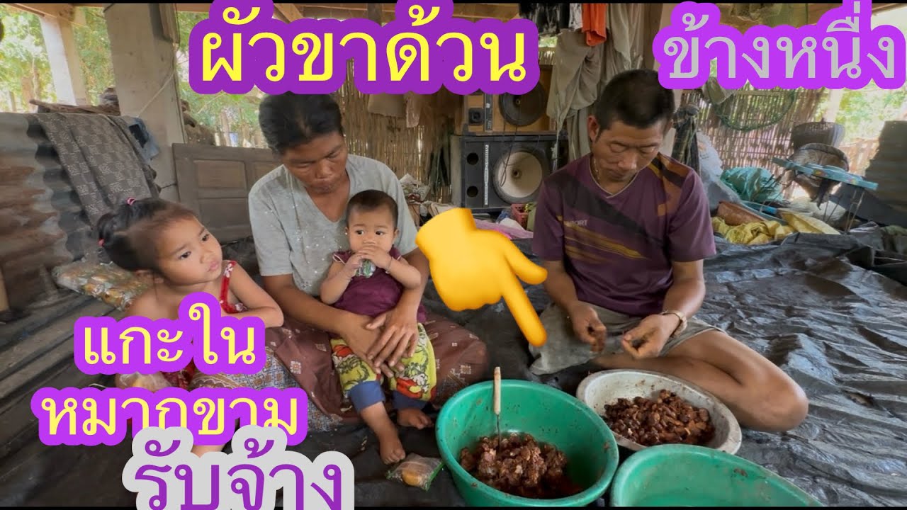 จนจริงๆผัวขาด้วนข้างหนื่งแกะในหมากขามรับจ้างหาเงินชื้อเข้่ากิน✌️🇱🇦❤️🇹🇭🇺🇸#บ่าวลาวพาเพลิน#1/3/26