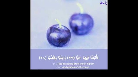 تلاوة رااائعة💜|سورة"عبس"|بصوت الشيخ"أحمد العجمي"|راحة🤍