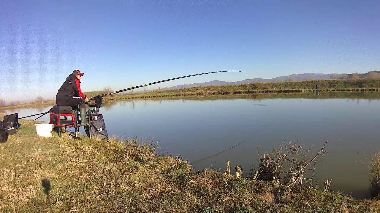 Каракуди и шарани на Доганово / Carassius and carps on Doganovo