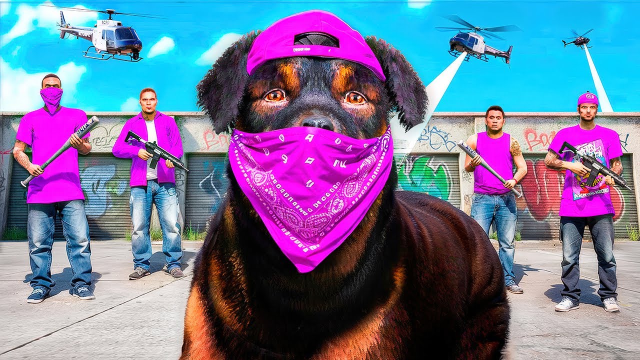 Imi FAC un GANG de CAINI in GTA 5!