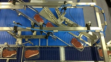 Dodman inline merging system