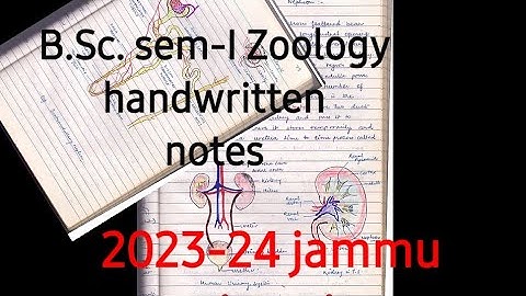 Physiology of excreation B.Sc semester-1 zoology handwritten notes 2023-24 (NEP) jammu university