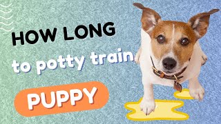 How Long Does It Take to Potty Train a Puppy? Factors Affecting Potty Training Speed by Dog Training Advice Tips 501 views 2 months ago 5 minutes, 38 seconds