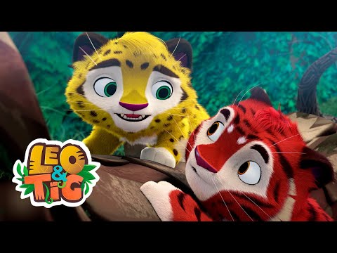 Leo & Tig - La Ventisquita (episodio completo) | Caricatura animada 🐯🦁