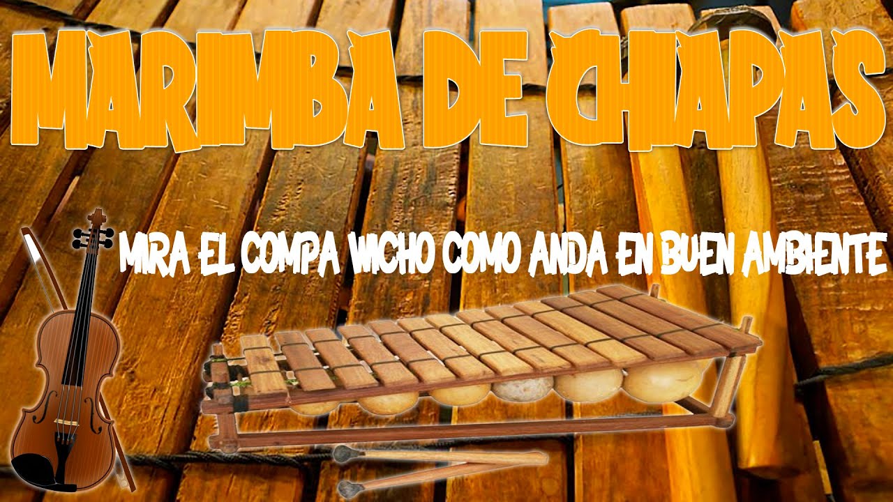 Mira El Compa Wicho Como Anda En Buen Ambiente marimba de chiapas