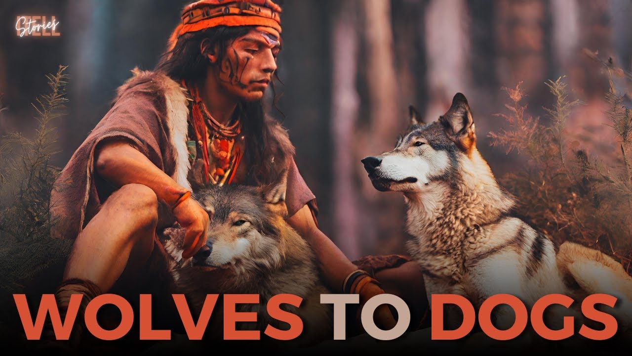 How did Dogs Pets From Pack to Family The Remarkable