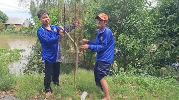 Giăng Lưới Thăm Lợp Ngày Gió Bấc Đầu Mùa Dính Được Rắn Khủng.Góc Làng QuêTV80