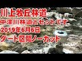中津川林道に行ったら必ずセットの川上牧丘林道