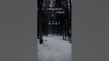 سوره الأخلاص تعدل ثلث القران الكريم ✅ #قرآن #تلاوه #تلاوة