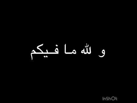 اندال اندال اندال والله ما فيكم جدعان حاله واتس سودا 90