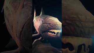 It’s a shark’s Display #shorts #yt #subscribe @Nenethvlog