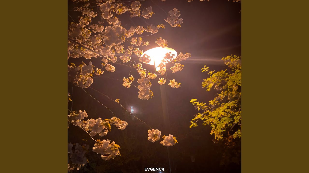 Assista a Diffused Light (Slowed) no YouTube Assista a Diffused Light (Slowed) no YouTube