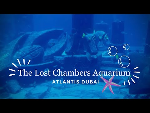 Don’t miss THE LOST CHAMBERS AQUARIUM in ATLANTIS, DUBAI!