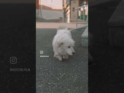 저희 초면인데