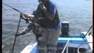 Fishing video: Red Cubera 38 kg