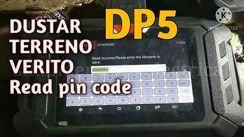 Duster Terreno read pin code