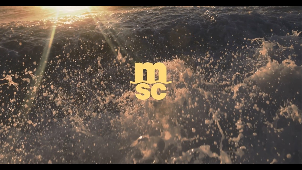 MSC Spain: Shipping & Logistics Solutions | MSC