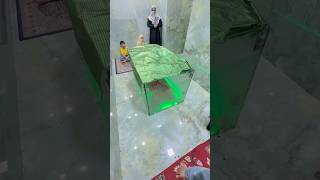Bibi Sakina Ki Qabar Mubarak /DargahHazratAbbas A/S Lucknow / #azadari#bibisakina#bibizainab