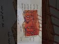 الاخراج في الكائنات الحية الحلقة١