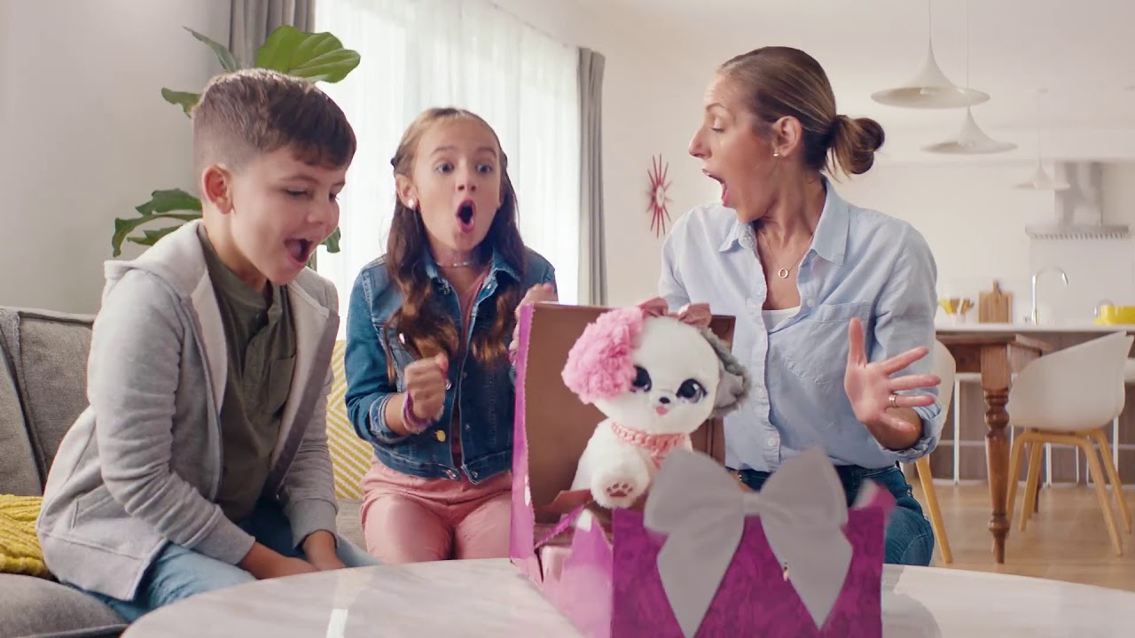 Spin Master Present Pets YouTube