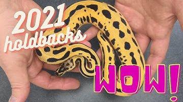 2021 Holdbacks and Additions