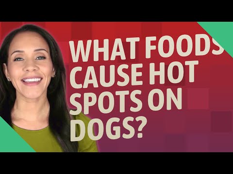 What foods cause hot spots on dogs?