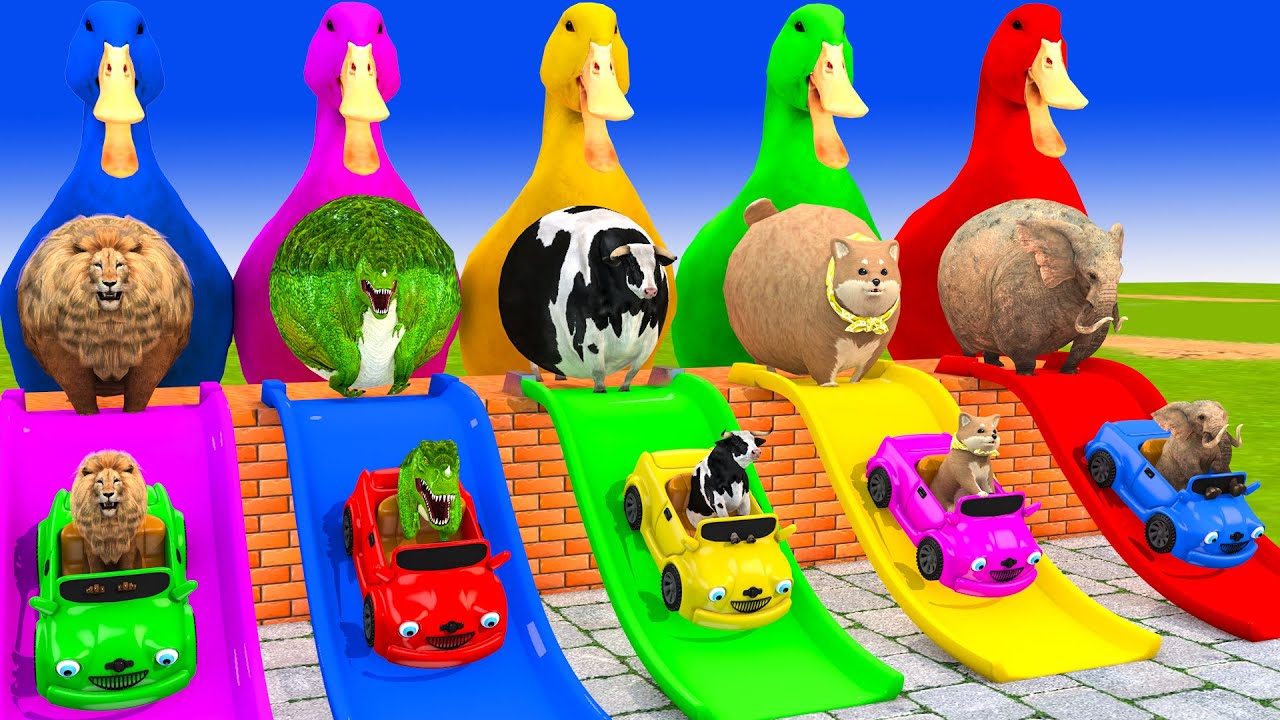 Long Slide Game With Cow Elephant Gorilla Hippopotamus Tiger 3d Animal Game Funny 3d Animals