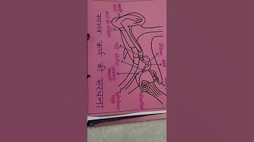 Skill of Reinforcement ( Microteaching ) For b.ed learners .