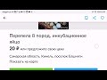 Отзыв об инкубационном яйце перепелов.