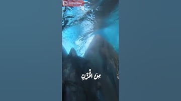 #أرح_سمعك_وقلبك #اكسبلور #قرآن  #آيات #دويتو #مصر #حالات_واتس #القرآن_الكريم #عبدالباسط_عبدالصمد