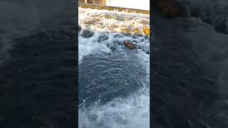 Download Lagu RIO SEGRE , CIUDAD DE LLEIDA. MP3