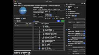 4 - Auto-Bounce Interface Overview