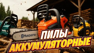 Лучшие аккумуляторные электропилы: Топ-5⚡🔋Цепные пилы 2025 для дачи, сада, заготовки дров. Рейтинг!