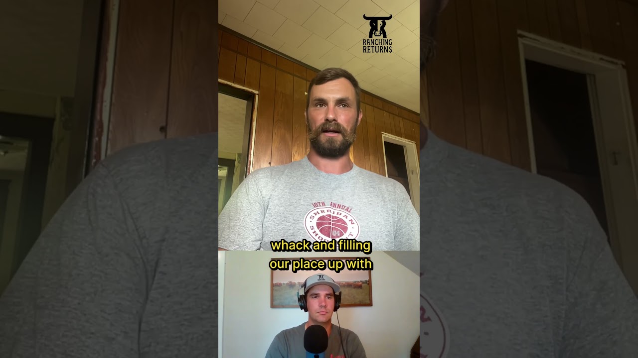 Episode 238 with Treg Ulmer  #regenerativeagriculture #cattlebusiness #ranch #ranching #sell/buy