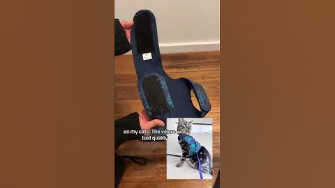 Why Your Cat Escapes Harnesses (and How to Stop It) | Catventure vs Strappy & Step In