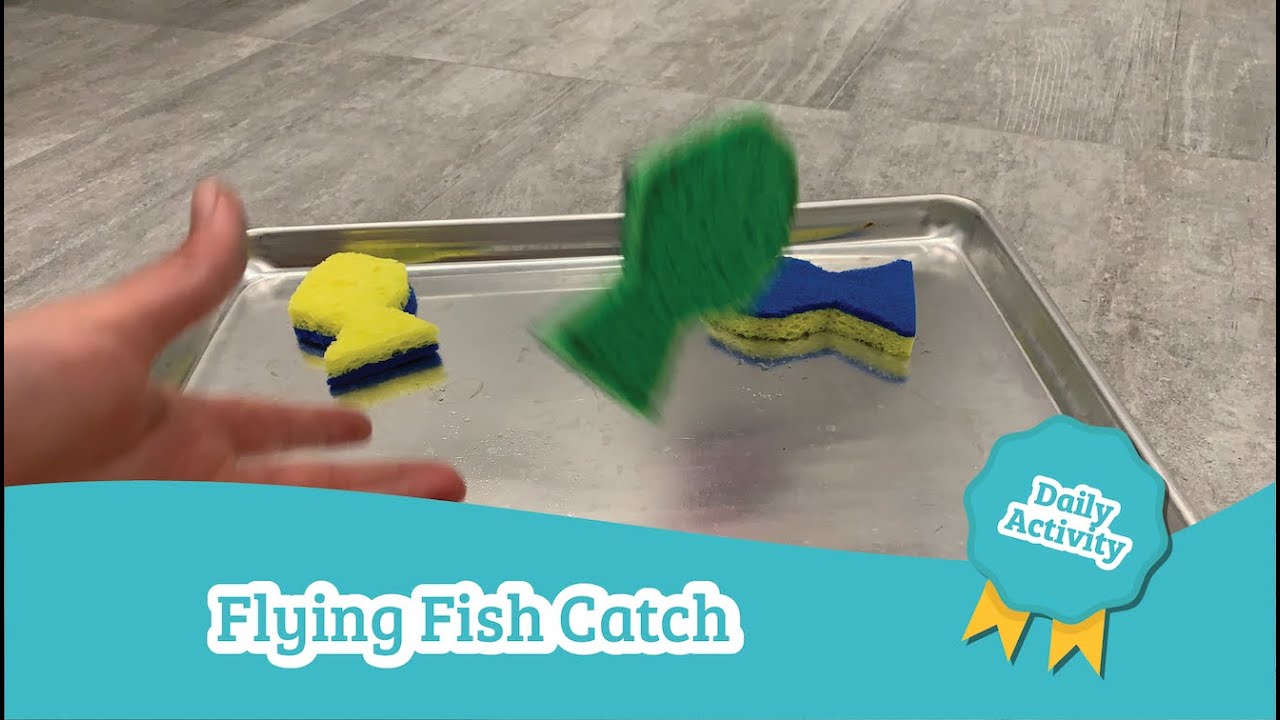 Flying Fish catch Daycare Activities YouTube
