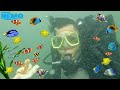 Kasih Makan Ikan Langsung Di Dalam Laut Ketemu Nemo dan Dory - Diving Finding Nemo