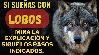 El Significado Espiritual de Soñar con Lobos #lobos |  Interpretación Espiritual de los Sueños'